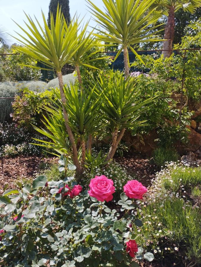 Villa Flora Superior Apartment カブリ エクステリア 写真