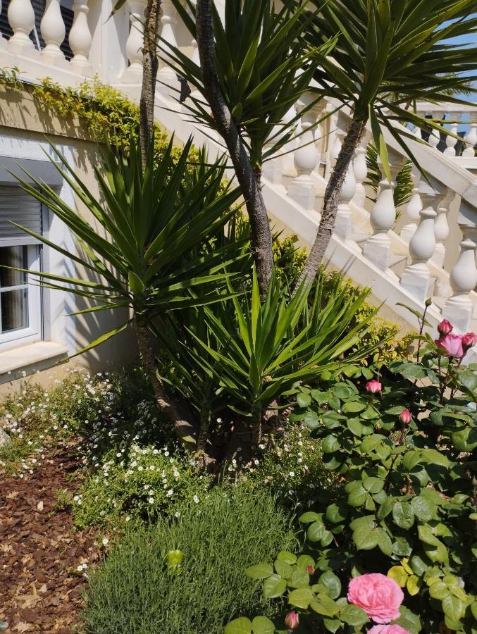 Villa Flora Superior Apartment カブリ エクステリア 写真